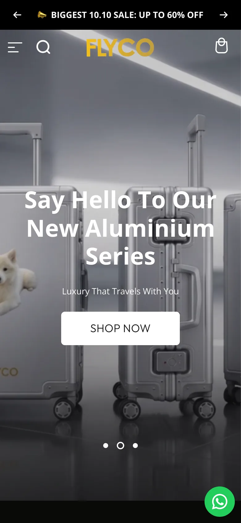 FLYCO Singapore website on a phone